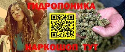 гашиш Новодвинск