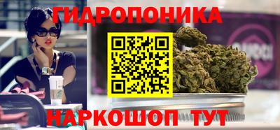 гашиш Новодвинск